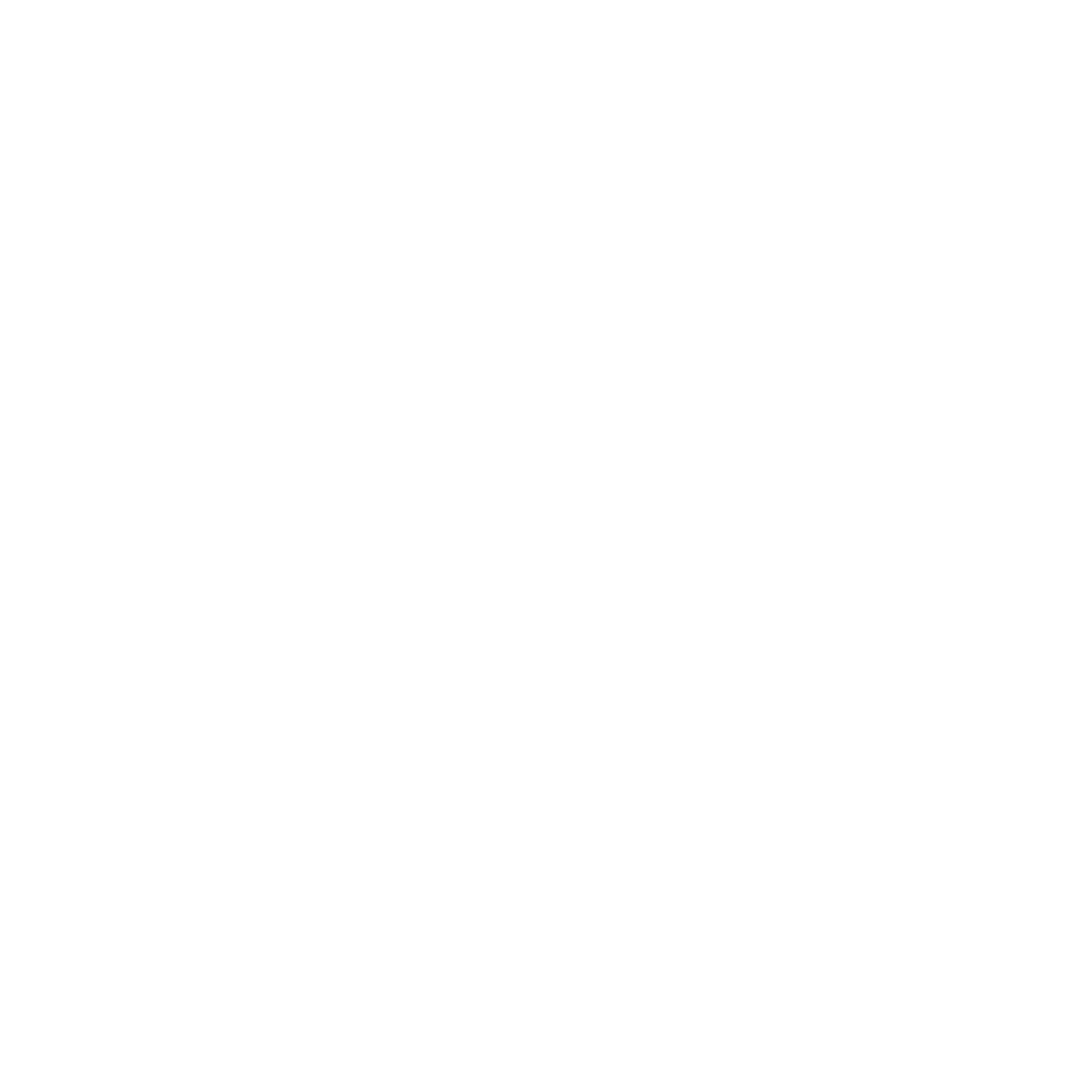 Best Interactive Toy